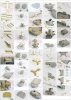 Pontos 23001F2 BISMARCK 1941 Detail Up Set Basic Ver.2 (1:200)